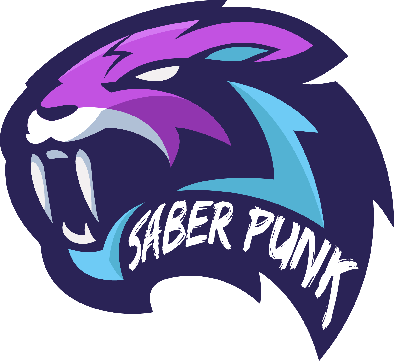 Saber Punk FC